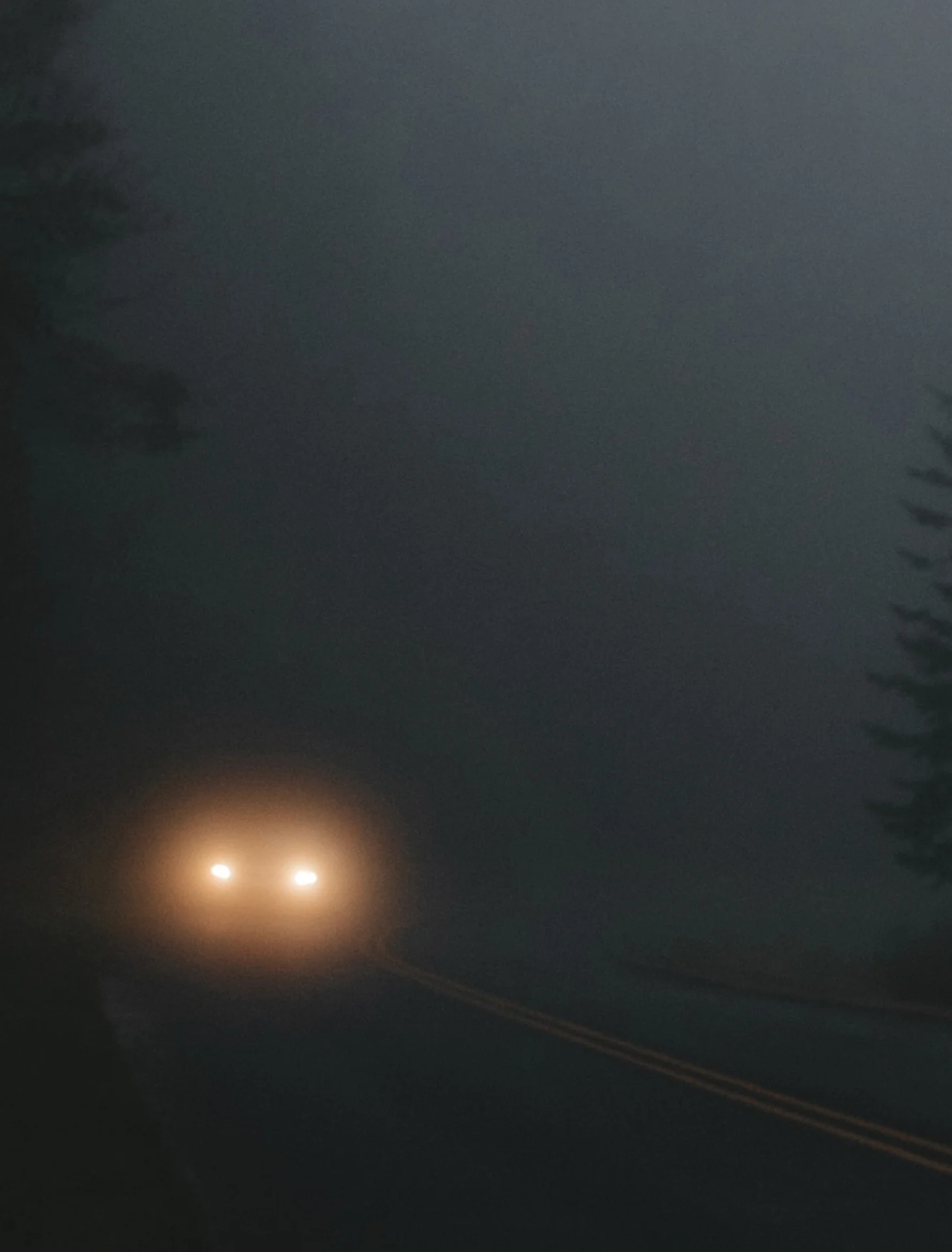 Dark is Night - Image 3