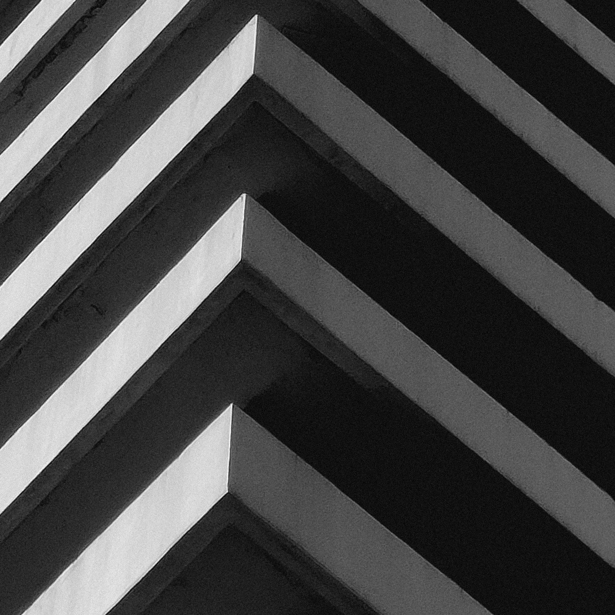 Flora Carnivora - Image 4