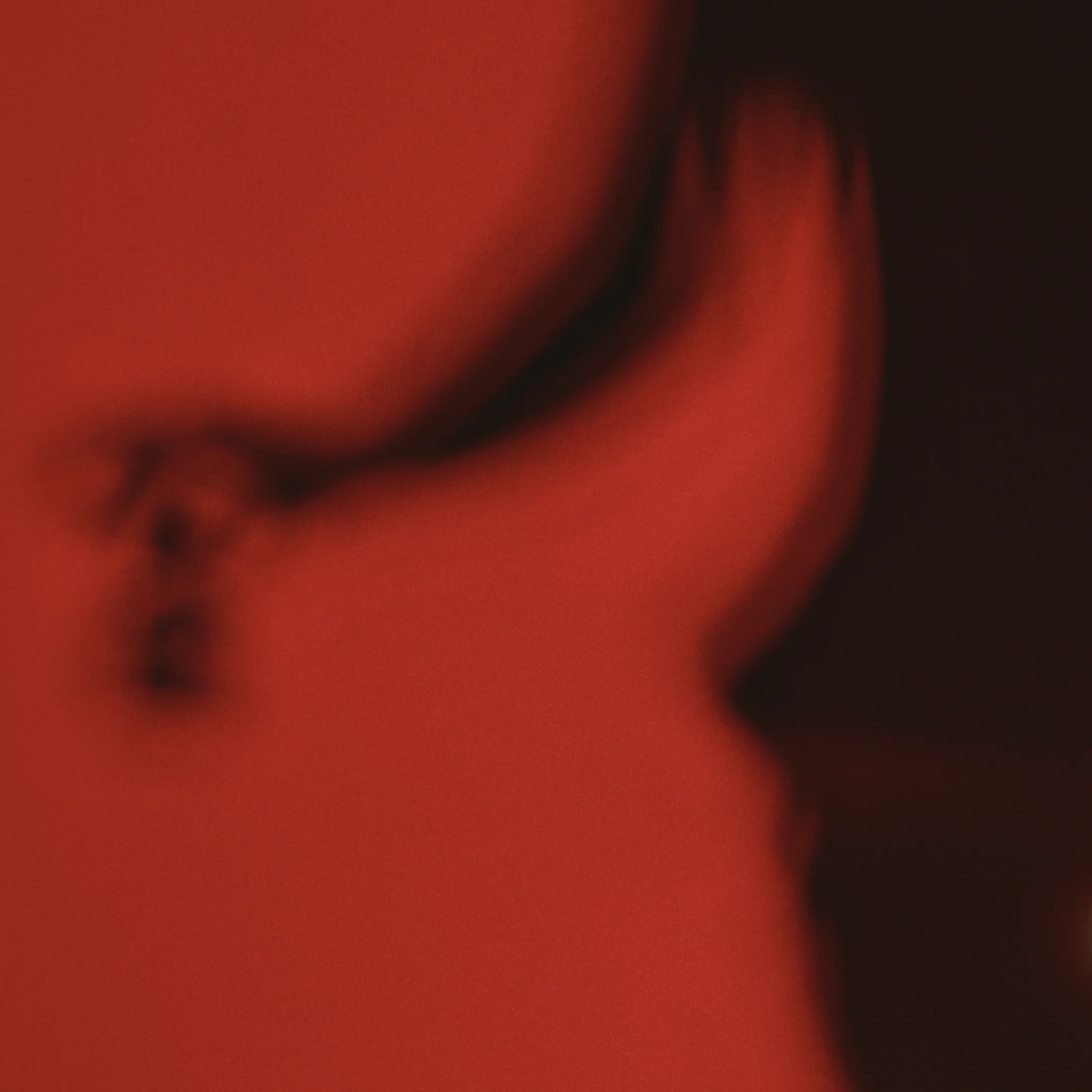 French Exit - Image 4