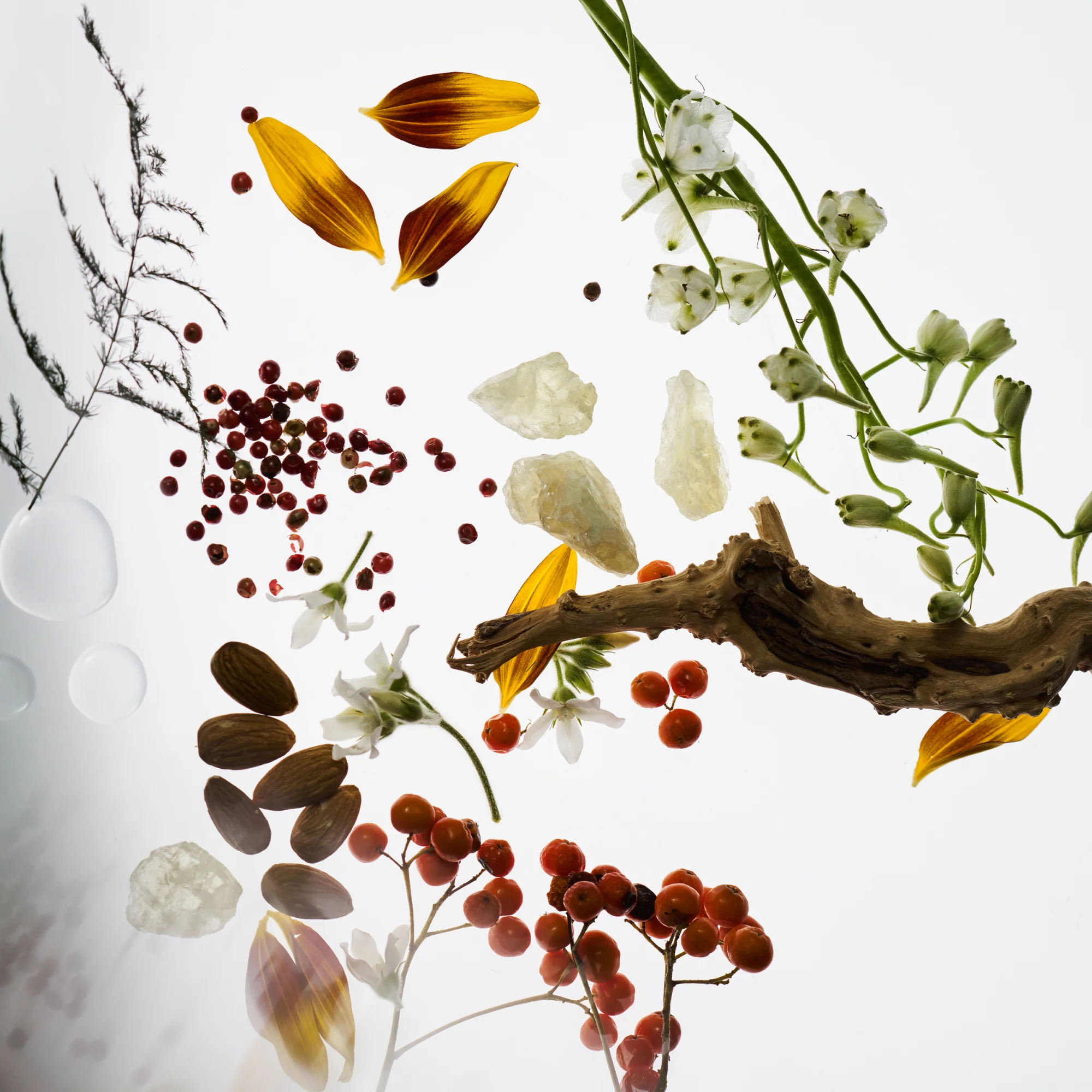 French Exit - Image 5