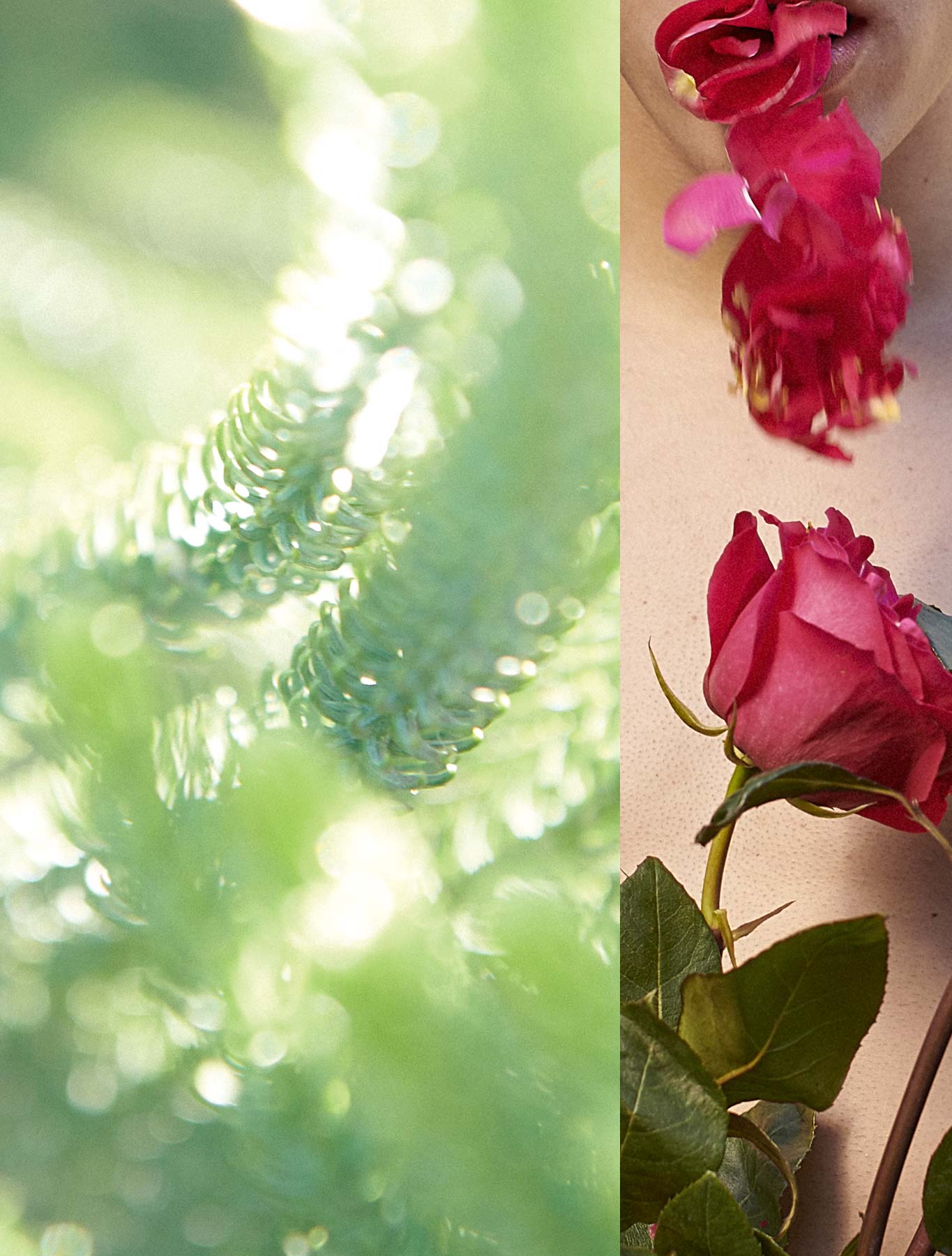 Queens & Monsters - Image 4