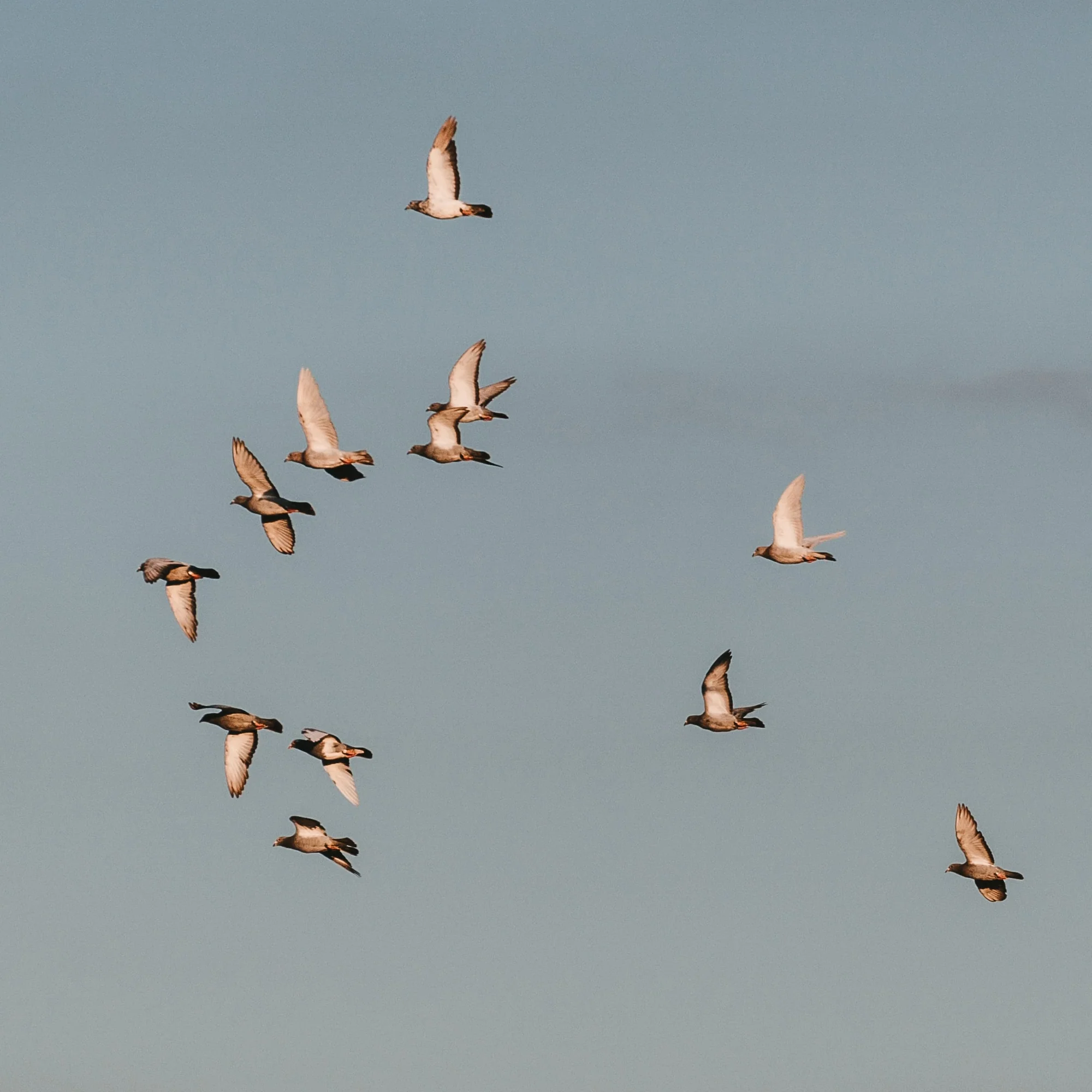 Windows Down - Image 4