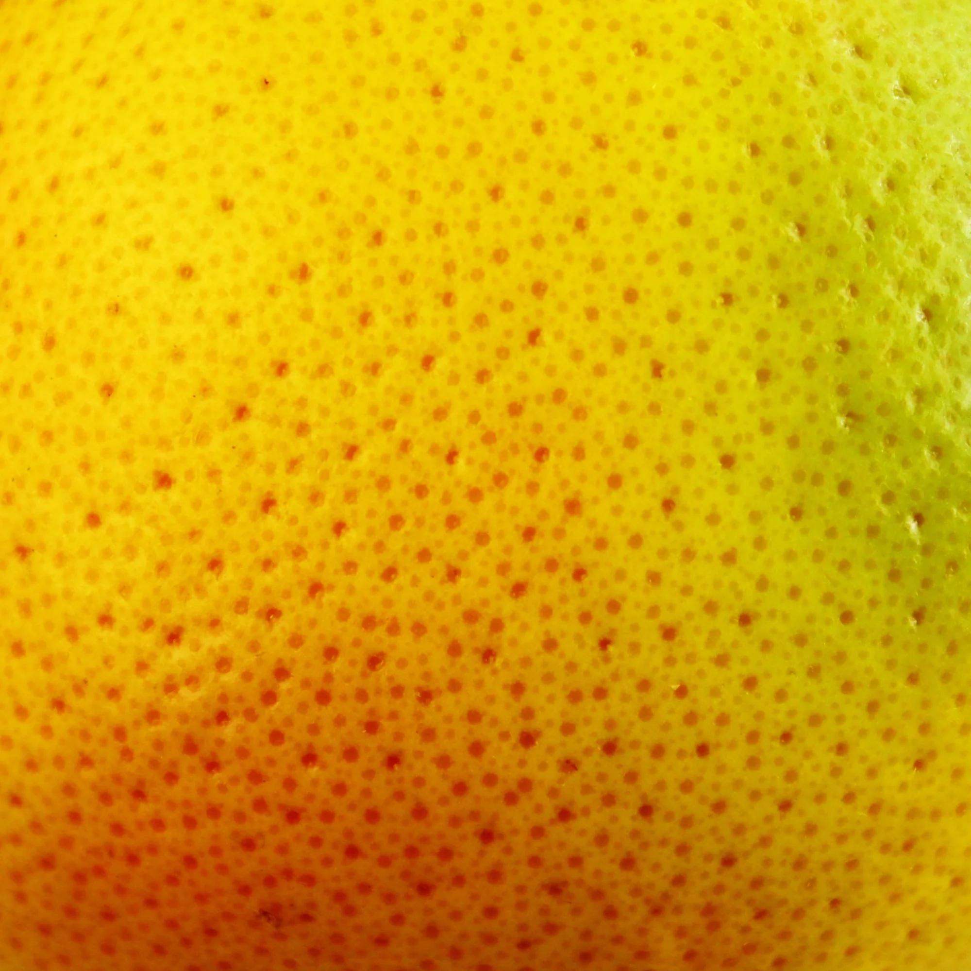 Windows Down - Image 5